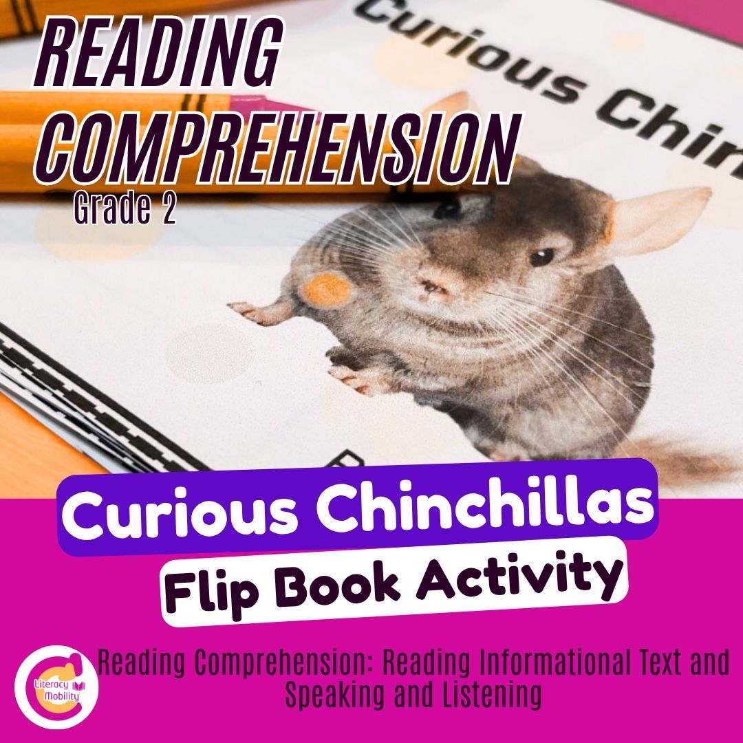 Curious chinchillas flipbook activity cover