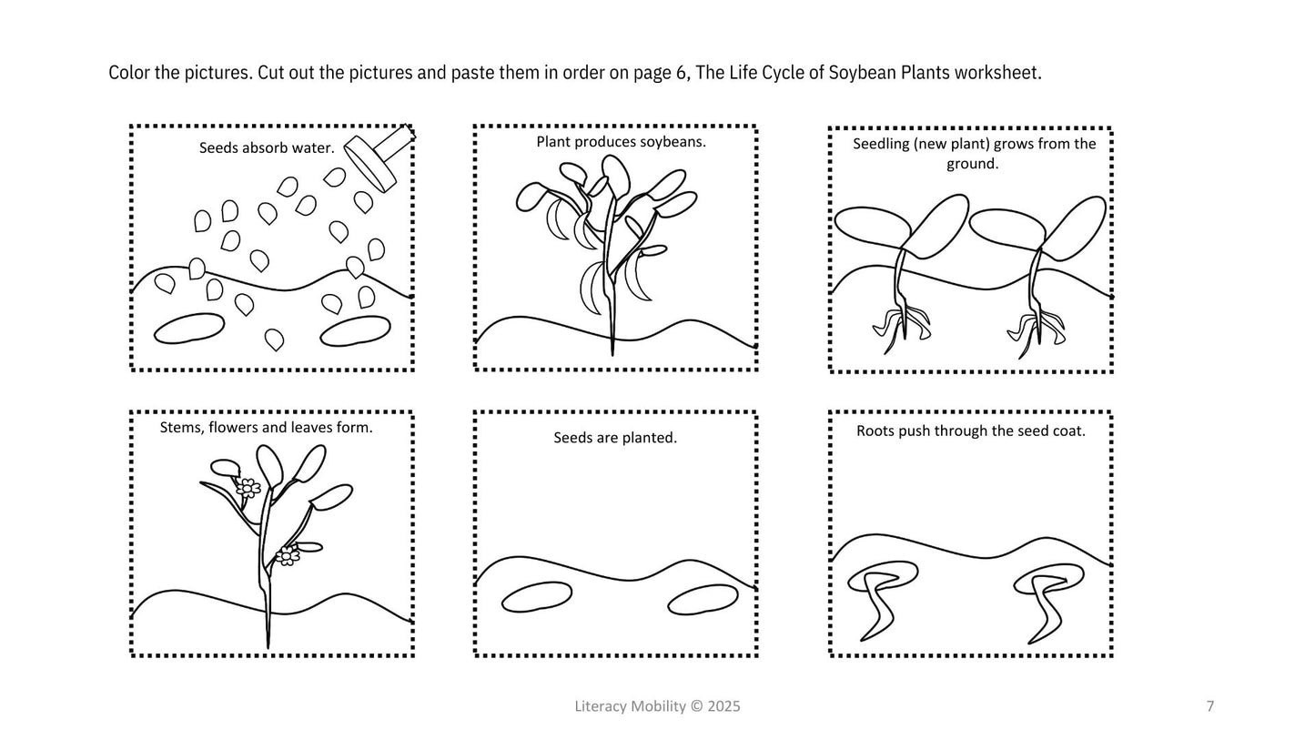 cut and paste pictures of the life cycle of soybean plants in the proper order