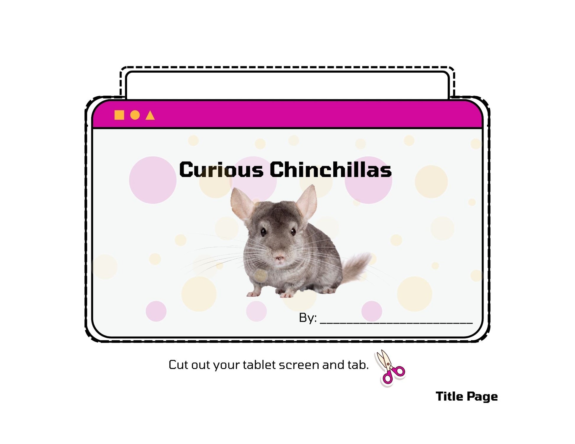 Curious, chinchillas cover page title title page for curious chinchillas
