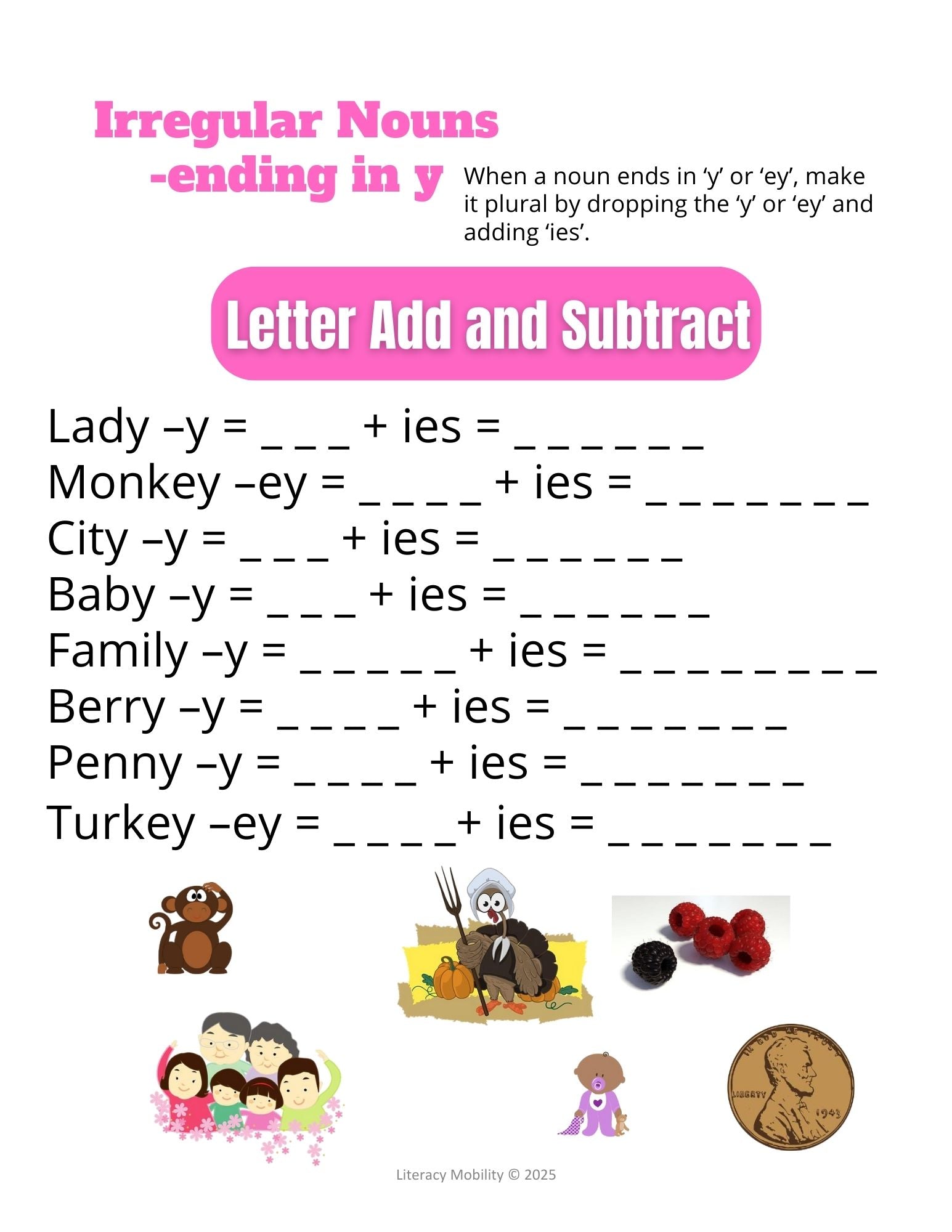 Irregular nouns that end in y worksheet