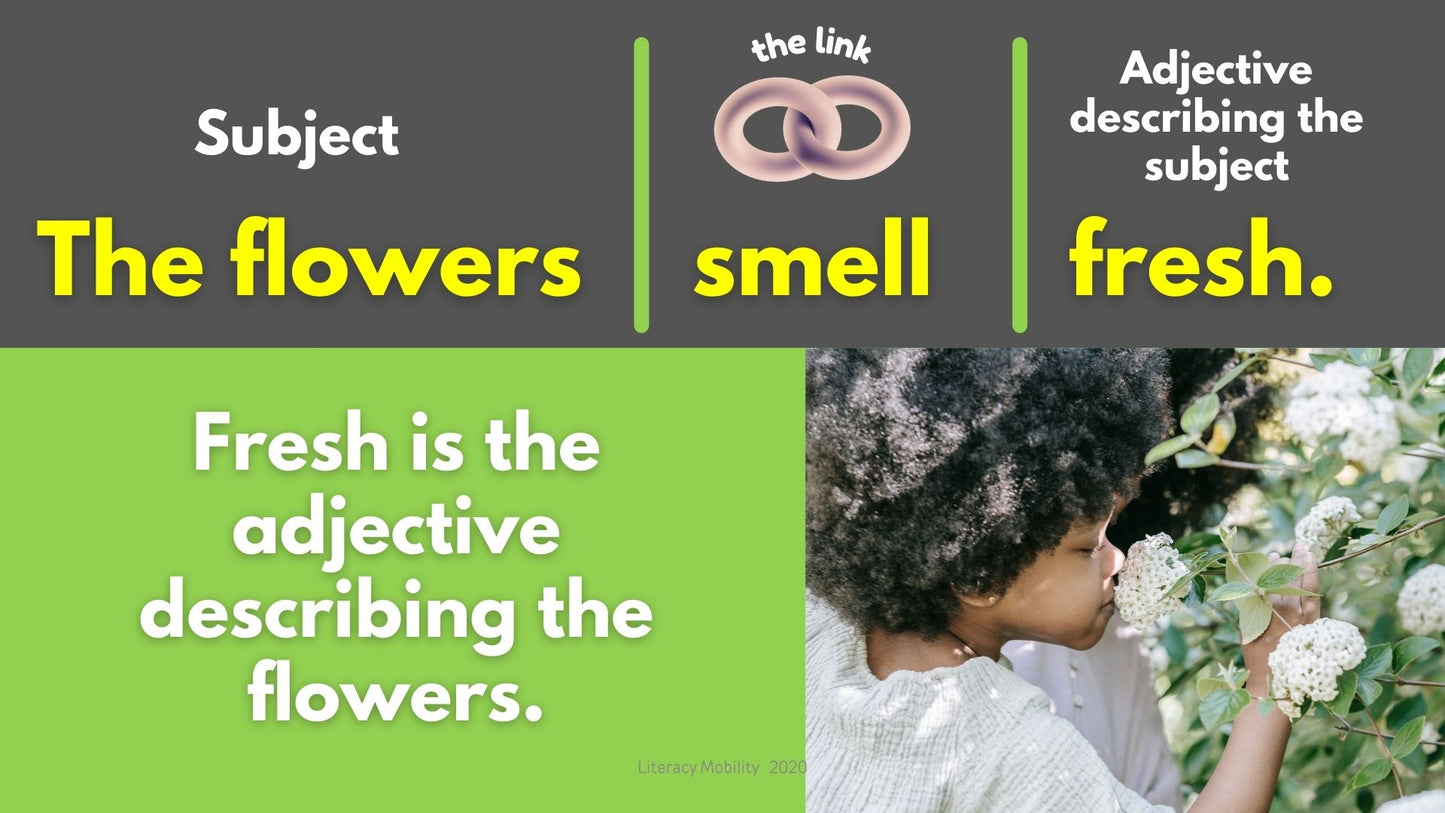 Teaching Linking verbs fresh is the adjective describing the flowers