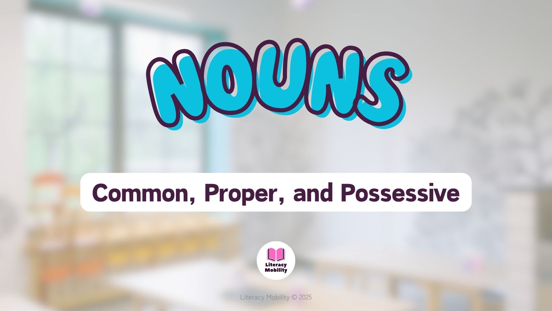 Nouns, common, proper and possessive by literacy mobility